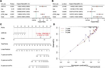 ARPC1B is a novel prognostic biomarker for kidney renal clear cell carcinoma and correlates with immune infiltration